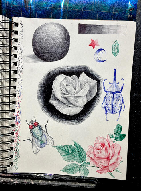 Untitled