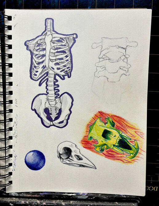 Untitled