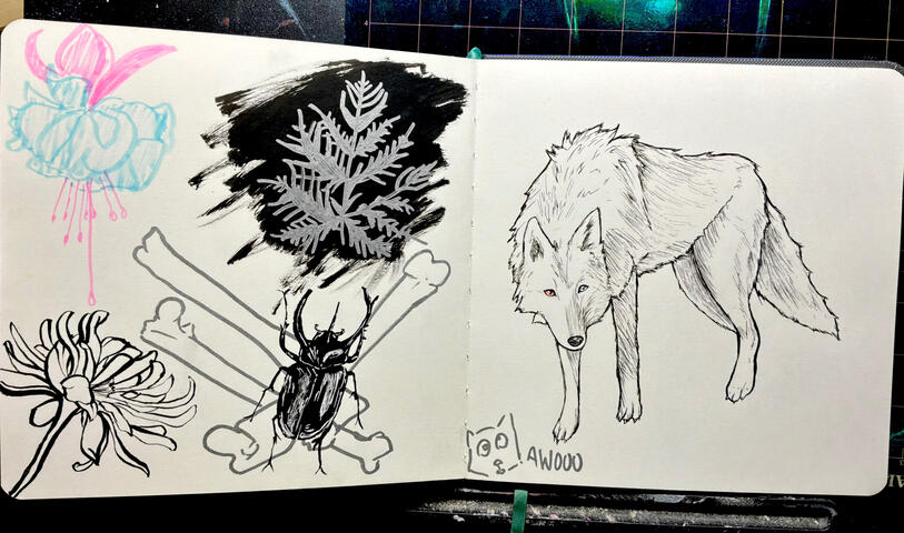 Untitled