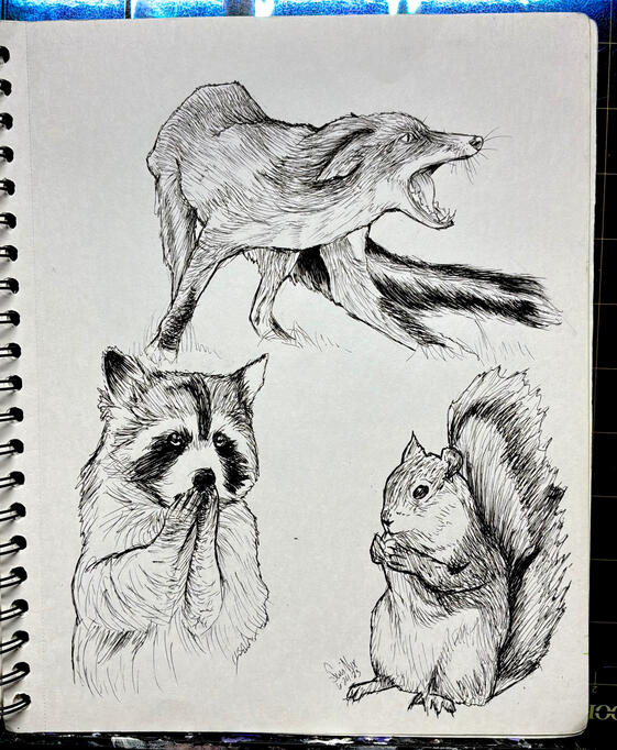 Untitled